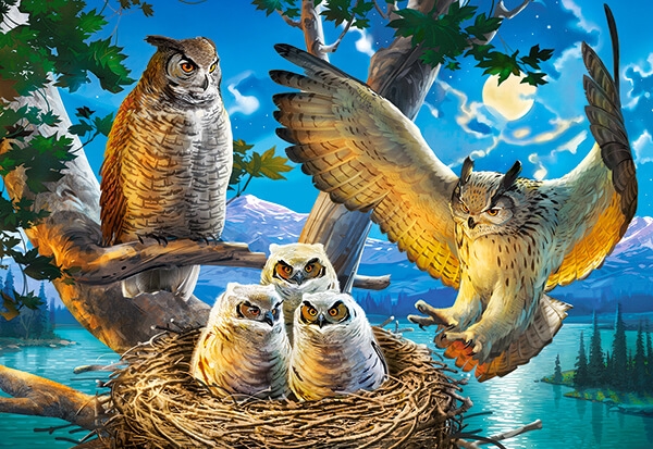 Se Owl Family hos Puzzleshop