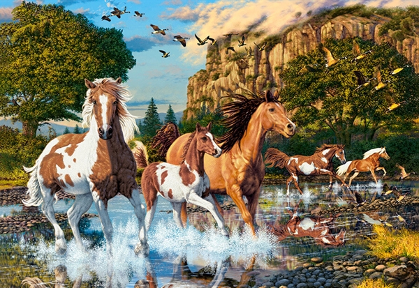 Billede af Horse Wonderland
