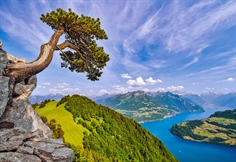 View of the Lake of Uri, Switzerland