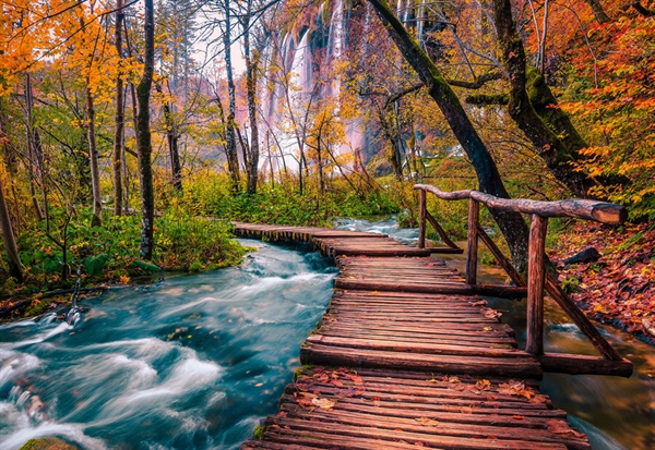 Se Forest Stream in Plitvice, Croatia hos Puzzleshop