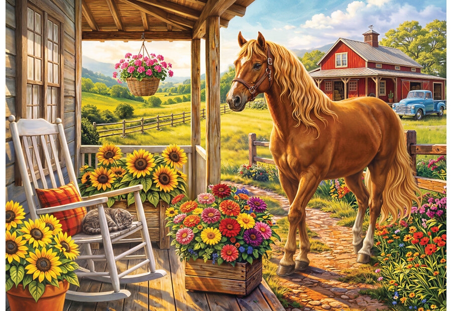 Horse on the Farm