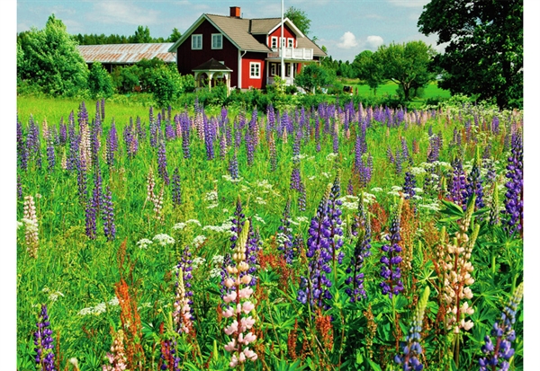 Farm in Sweden