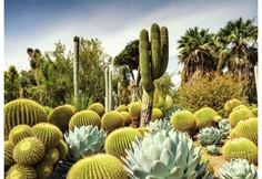 The Huntington Desert Garden, California, USA