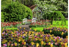 Keukenhof Gardens, the Netherlands