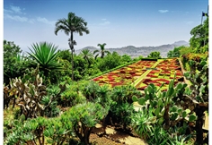 Botanical Garden, Madeira