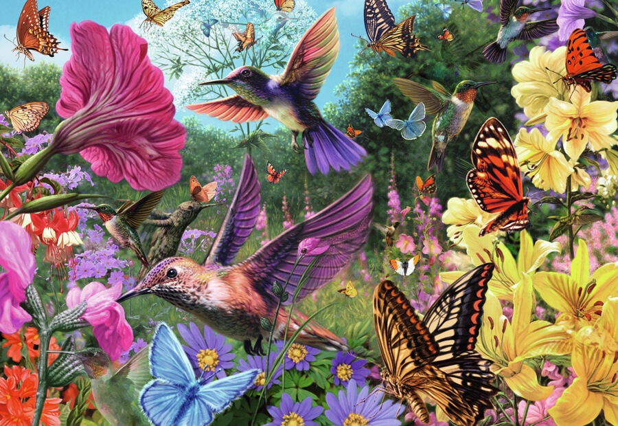 Hummingbirds and Butterflies