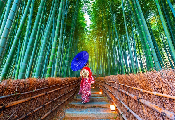 Se Asian Woman in Bamboo Forest hos Puzzleshop
