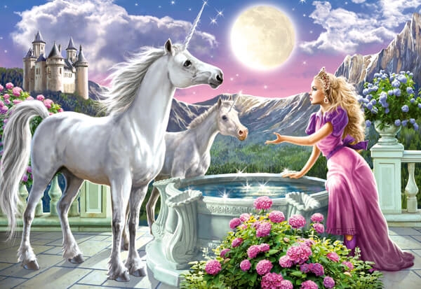 Billede af Princess and her Unicorn