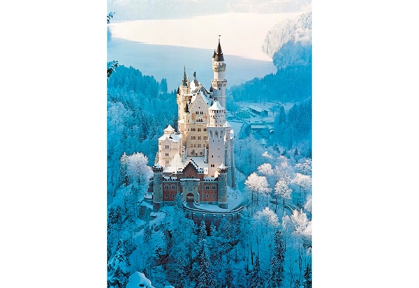 Billede af Neuschwanstein Castle in Winter