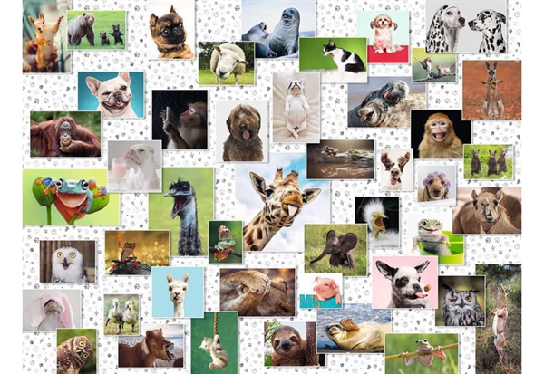 Se Funny Animals Collage hos Puzzleshop