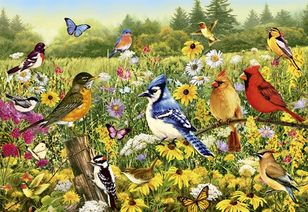 Billede af Birds in the Meadow