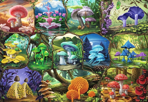 Billede af Beautiful Mushrooms hos Puzzleshop
