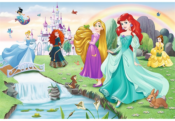 Se Meet the Disney Princesses hos Puzzleshop