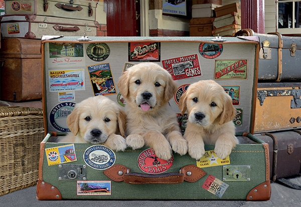 Se Puppies in the Luggage hos Puzzleshop