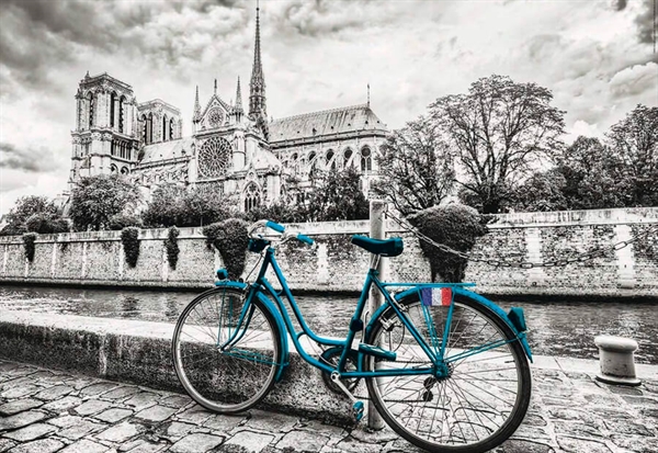 Se Bike near Notre Dame hos Puzzleshop