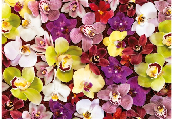 Billede af Orchid Collage hos Puzzleshop