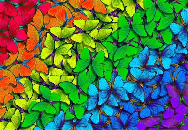 Se Rainbow Butterflies hos Puzzleshop