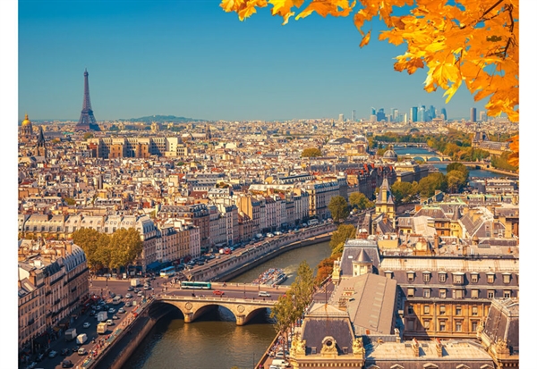 Billede af Paris from Above hos Puzzleshop