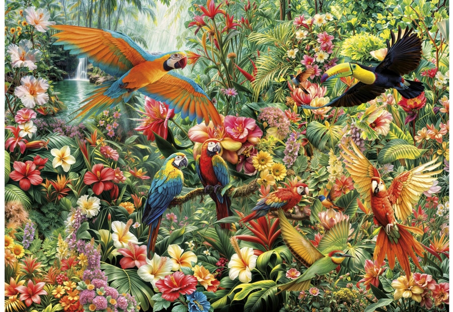 Amazon Birds