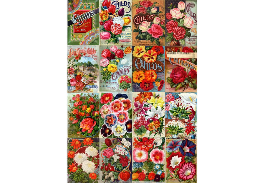 Vintage Flower Seed Catalog Collage