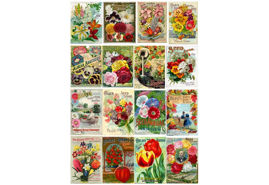 Vintage Flower Seed Packets