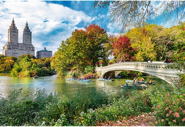 Billede af Central Park, New York (UFT)