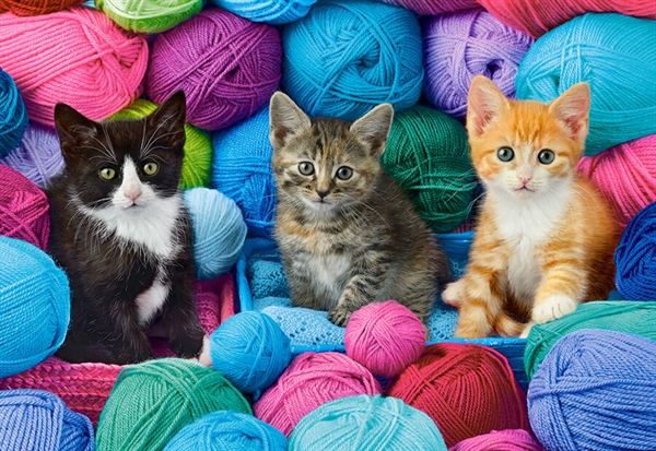 Billede af Kittens in Yarn Store hos Puzzleshop