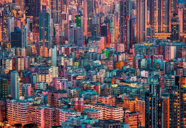 Billede af The Hive, Hong Kong hos Puzzleshop