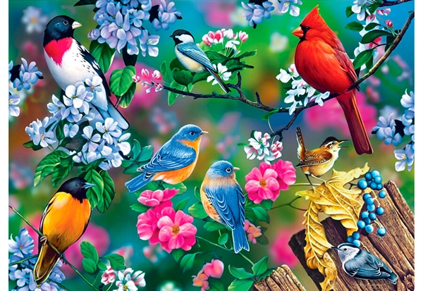 Se Songbird Collage hos Puzzleshop