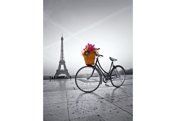 Billede af Romantic Promenade in Paris
