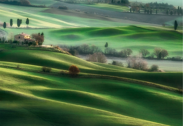 Billede af Tuscany Hills