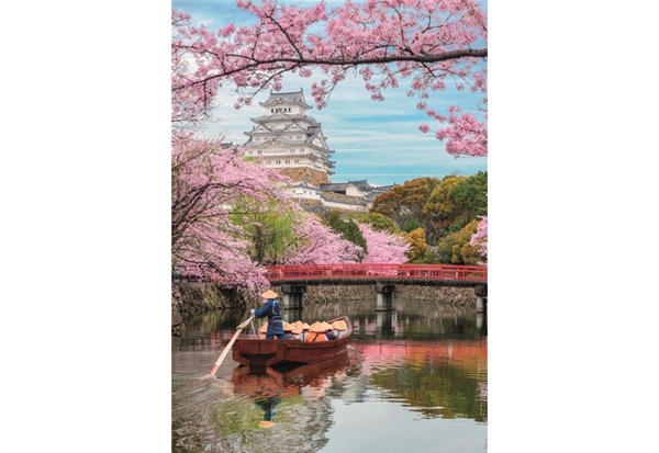 Billede af Himeji Castle in Spring