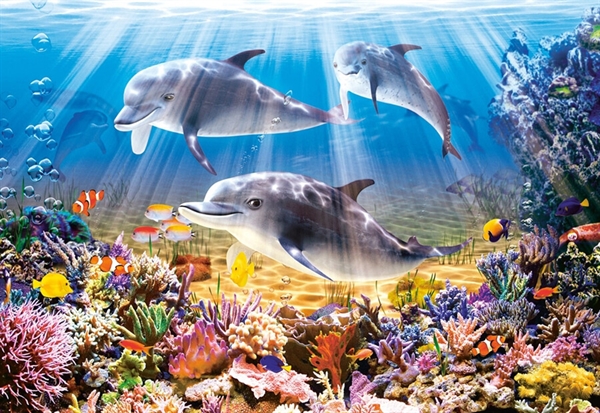 Billede af Dolphins Underwater