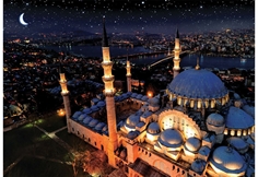 Blue Mosque (Neon)