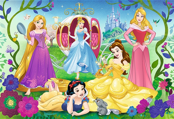 Billede af Disney Princesses (Glitter)