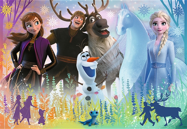 Billede af Disney Frozen (Glitter)