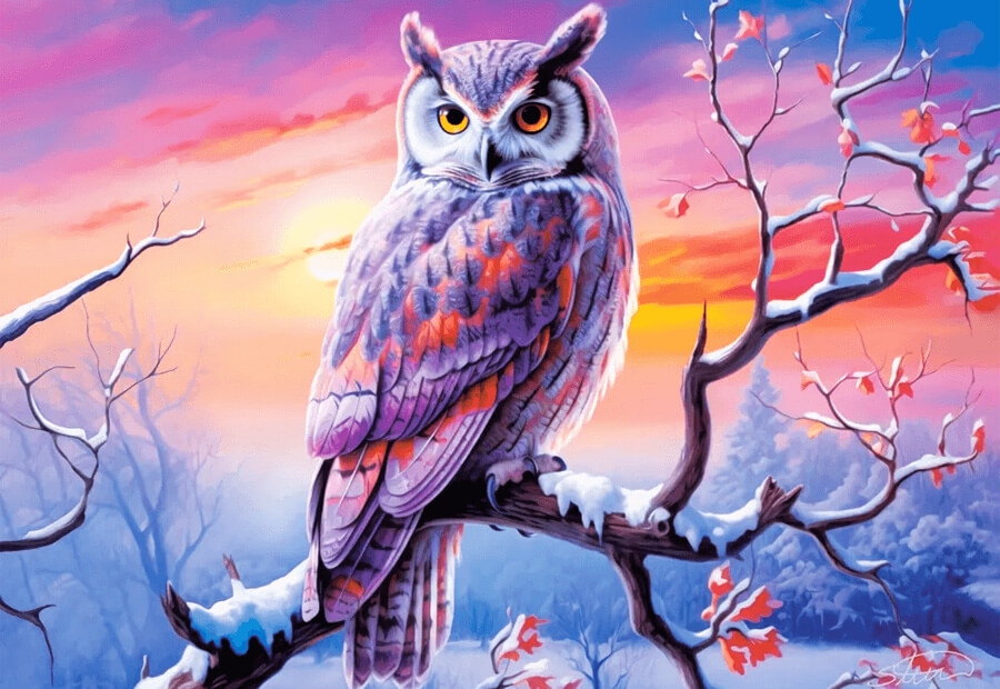 Owl\'s Perfect Evening