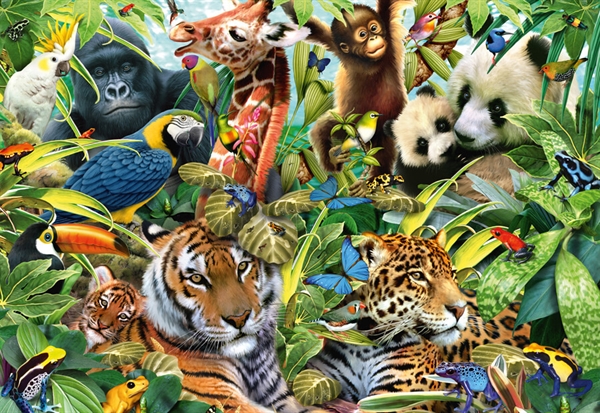 Se Colourful Animal Kingdom hos Puzzleshop