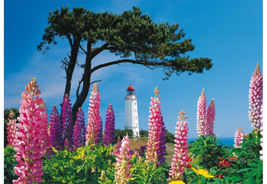 Dornbusch Lighthouse, Hiddensee