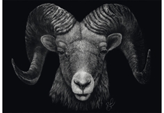 Dominance – Ram, the Epitome of Fire