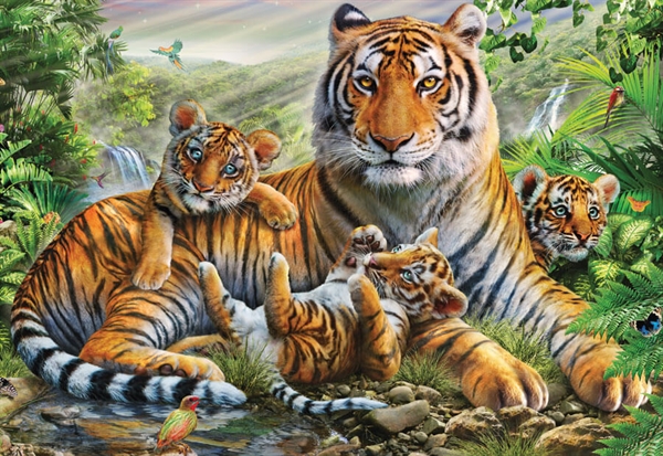 Se Tiger and Cubs hos Puzzleshop