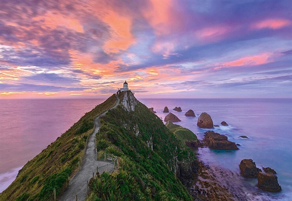 Billede af Nugget Point Lighthouse