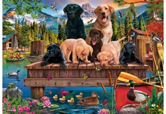 A Family of Dogs at the Lake