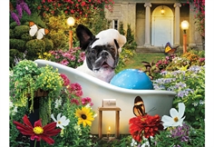 Bubble Bath in the Garden