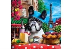 Dog-ology - Frenchie