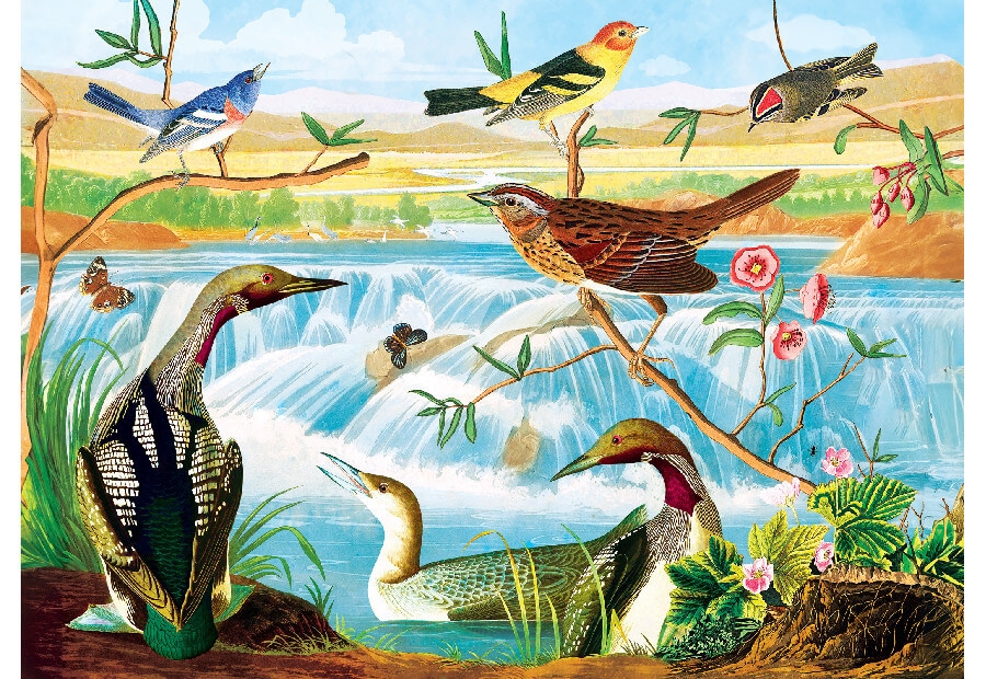 Harmony of Birds and Stream