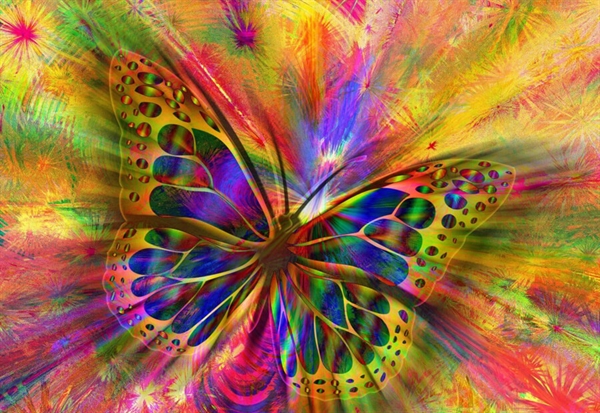 Billede af Colorful Butterfly